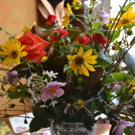 Konukevi Casa Mortarino 3*