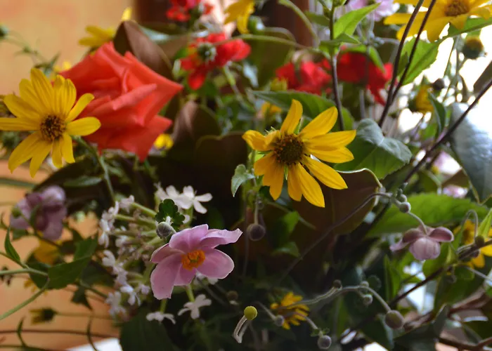 بيت ضيافة Casa Mortarino 3*